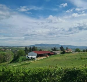 Boucle sur les chemins de Sainte-Consorce et Pollionnay - Sainte-Consorce - 2