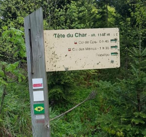 Tête du Char par les pâturages de l'Herpettaz - Habère-Lullin - 2