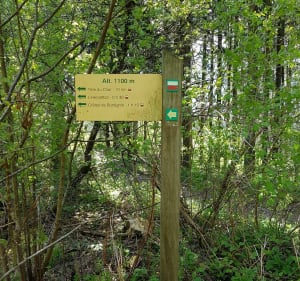 Tête du Char par les pâturages de l'Herpettaz - Gwendoline - 4