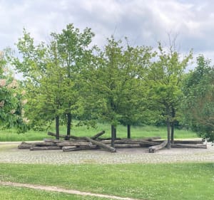 Du Bois de Boulogne au parc Mozaic par les canaux - Lille - 2