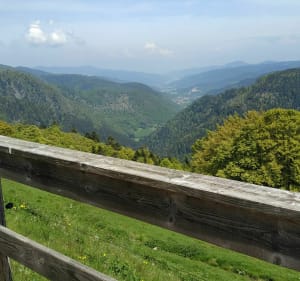 Balade autour du Rothenbachkopf - Wildenstein - 4