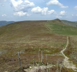 Route langs de Rothenbachkopf - Wildenstein - 2