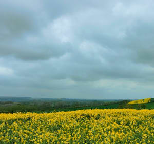 Longue balade entre Amiens et Moreuil - Thézy-Glimont - 2