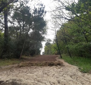 Belle balade au départ de la Teste de Buch vers Arcachon - La Teste-de-Buch - 2