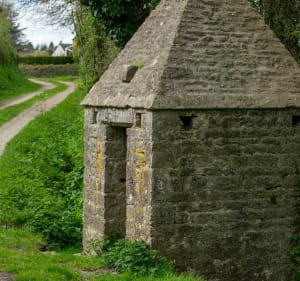 Dans les chemins de Sainte-Mère-Église et Baudienville - Sainte-Mère-Église - 2