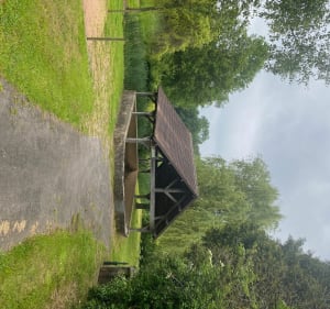 Sur le chemin des Mines de Fer depuis Chéniers - Sacierges-Saint-Martin - 3