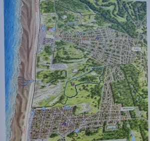 Circuit des Fauvettes Dunes de Merlimont - Merlimont - 2