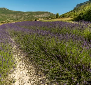 Superbe tour des Baronnies par le Col de Fontaube - Reilhanette - 4