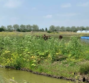 Chemin de la Charente autour de Rochefort par le Martrou à vélo - Rochefort - 2