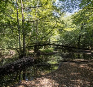 Balade à Dole entre la Forêt de Chaux et le Doubs - Dole - 2