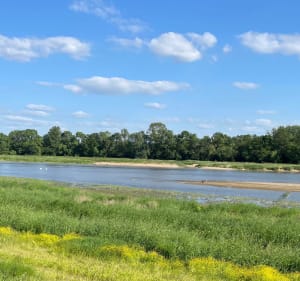 Balade entre la Maine et la Loire depuis Angers - Angers - 3