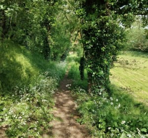 Le chemin du ruisseau à St-Christophe du Bois - EG - 5