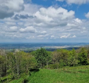 Découverte du château des Allymes - Ambérieu-en-Bugey - 2