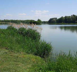 Châteaux et plans d'eau depuis Limoise - Lysiane - 4