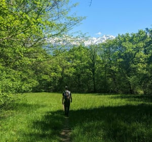 Boucle Château Nardent et col de Baure - Saint-Nazaire-les-Eymes - 2