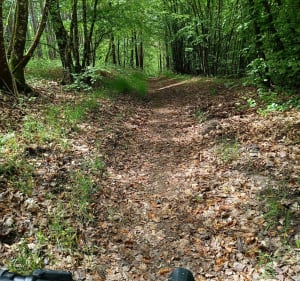 VTT autour de Mont-Saint-Sulpice entre chemins et bois - Mont-Saint-Sulpice - 2