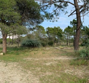 Jolie balade à VTC aux alentours de Port Camargue - Le Grau-du-Roi - 2