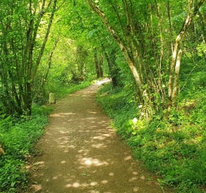 Le long de la Boivre à Vouneuil - Biard - 2