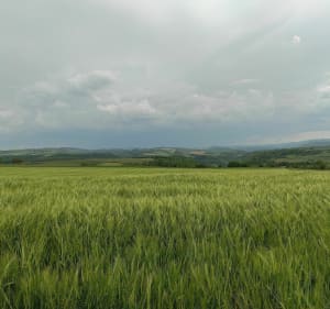 Petit tour d'Espalem - Lorlanges - 2