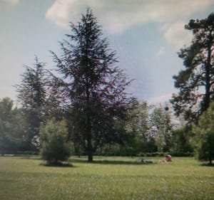 Balade  familiale en toute sécurité au Parc de la Colombière - Dijon - 2