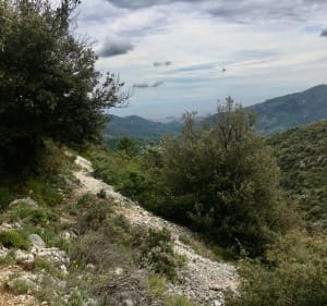 Versant S/O Férion :Col de Châteauneuf / Terre Forte / Laval - Châteauneuf-Villevieille - 2