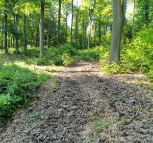 Promenade à VTT dans les forêts du Warnd - Creutzwald - 2