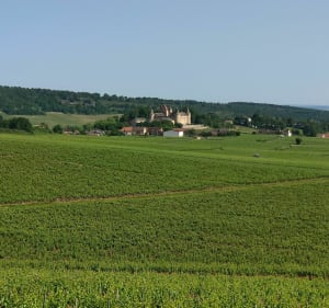 Entre Rully Aluze et Mercurey Départ de la forêt de Farges - Emmanuel - 4