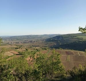 De Meursault à Blagny - Meursault - 2