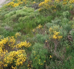 Sentier des croix Farnay - Farnay - 2