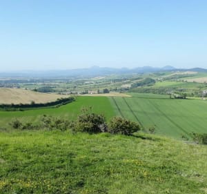 Balade VTT entre Limagne, Puy de Loule et bois de Prompsat - Ennezat - 2