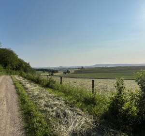 Méréville, Azelot, Frolois par les champs et la forêt - Méréville - 2