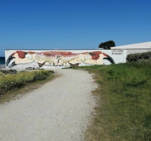 Balade d'Equeurdreville à Bretteville - Cherbourg-en-Cotentin - 2