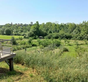 Boucle à vélo de Pibrac par les Bourdettes et l'Aussonnelle - Pibrac - 2