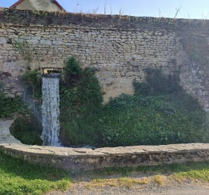 Balade champêtre à Boury-en-Vexin - Boury-en-Vexin - 2