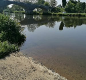De Roëzé à l'île Moulin Sart, balade au fil de l'eau - Roëzé-sur-Sarthe - 2