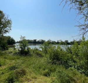Balade au bord de l'Authion - Les Ponts-de-Cé - 2