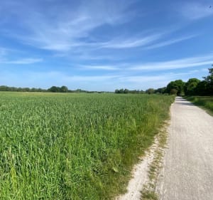 De Ascq aux fermes du Héron à VTC - Villeneuve-d'Ascq - 2