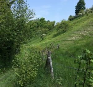 Balade de la vallée d’Acon à Samara - Valerie - 5