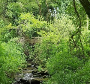 Belle promenade entre forêt et océan - Plouzané - 2