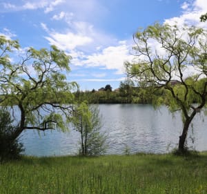 VTT dans les sentiers forestiers du grand Montauban - Montauban - 2
