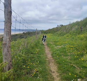 Dunes de Biville - Benjamin - 3