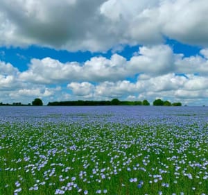 Vallée du Suin, par Pouligny, Preuilly et Tournon à vélo - MlleZach - 3