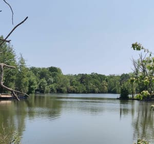 Balade dans l'Essonne au départ de Mennecy - Mennecy - 2