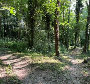 Un ptit coin de paradis à Guérard La Celle sur Morin - Guérard - 3