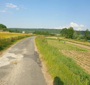De Brasles à Chézy par la marne - Brasles - 2