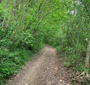 Rando a Beausemblant - Beausemblant - 2