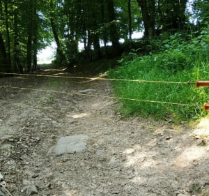 Soultzerkopf / Pfaffenschlick par Petit-Wingen - Preuschdorf - 2