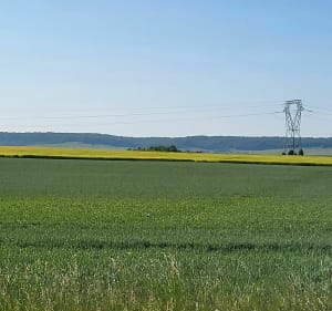 Balade aux écluses de Vaudemange - Stephane - 5
