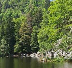 Col de Schlucht et sommet du Hohneck par le sentier des roches - Le Valtin - 2