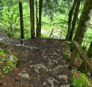 Sentier botanique et Trou Bleu depuis Bas-Morez. - Hauts-de-Bienne - 4